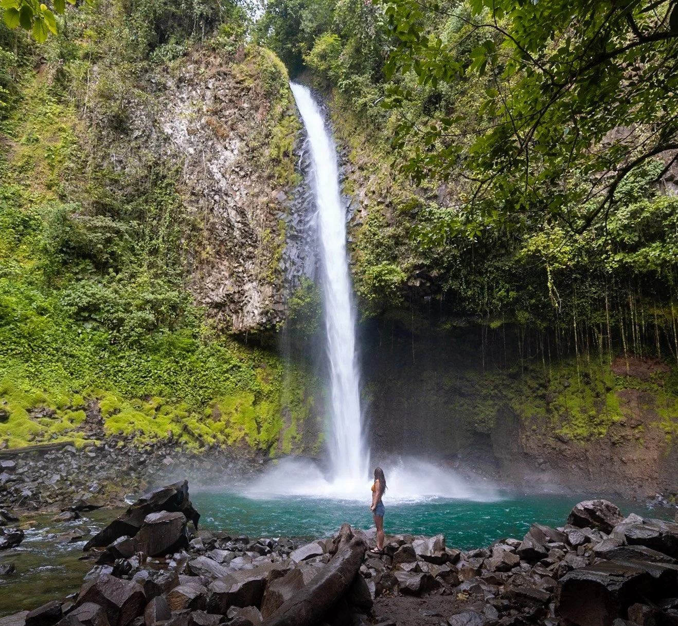 Swim and explore the pool