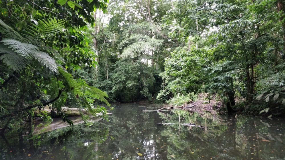 Ecocentro Danaus Wildlife Reserve