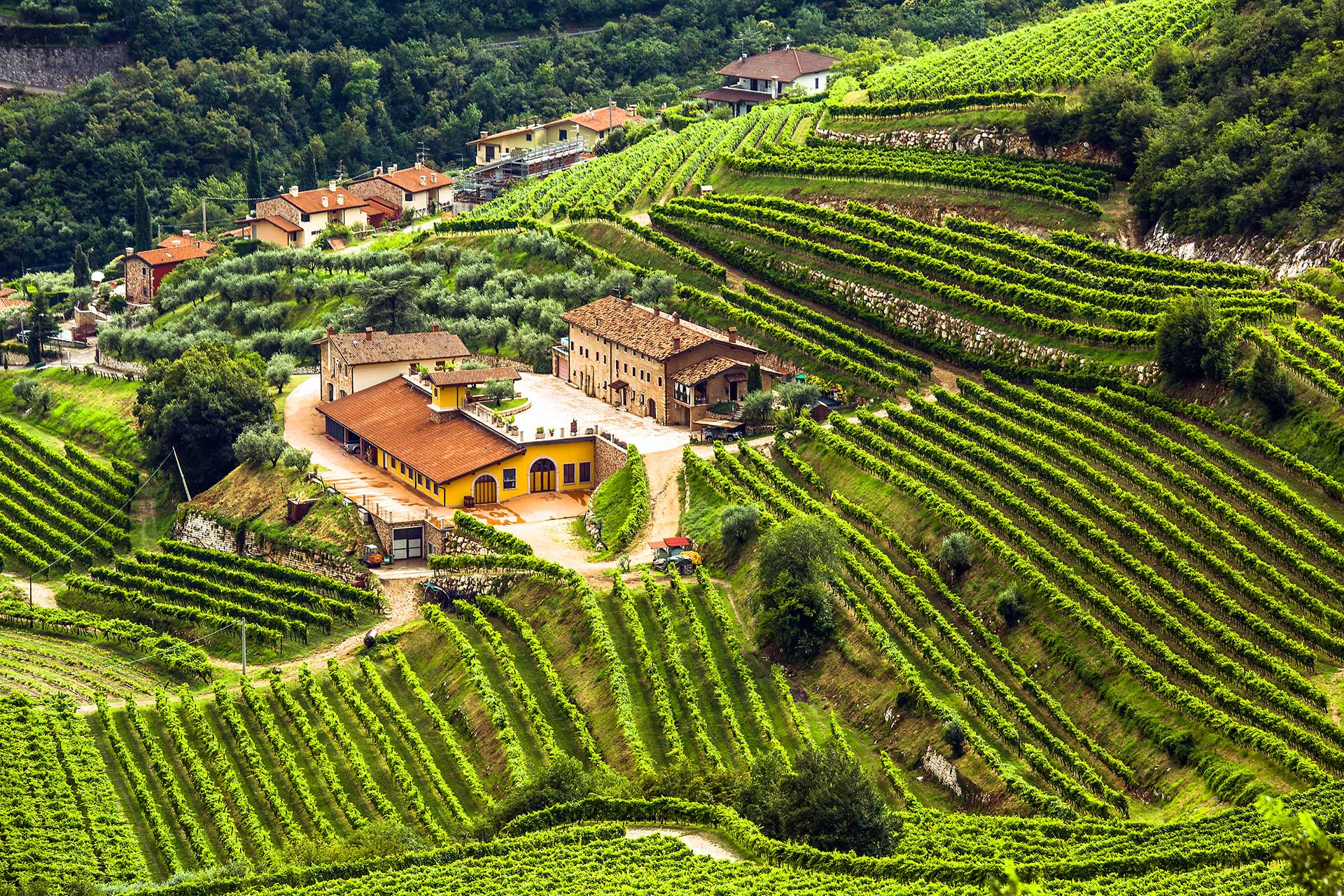 Marano di Valpolicella Ridge