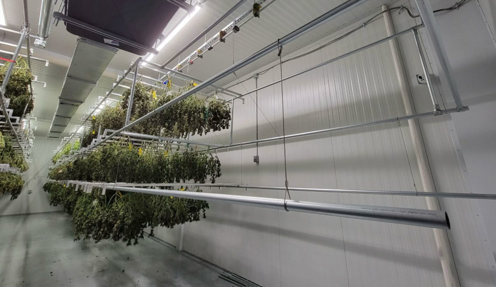 Grape Drying Rooms