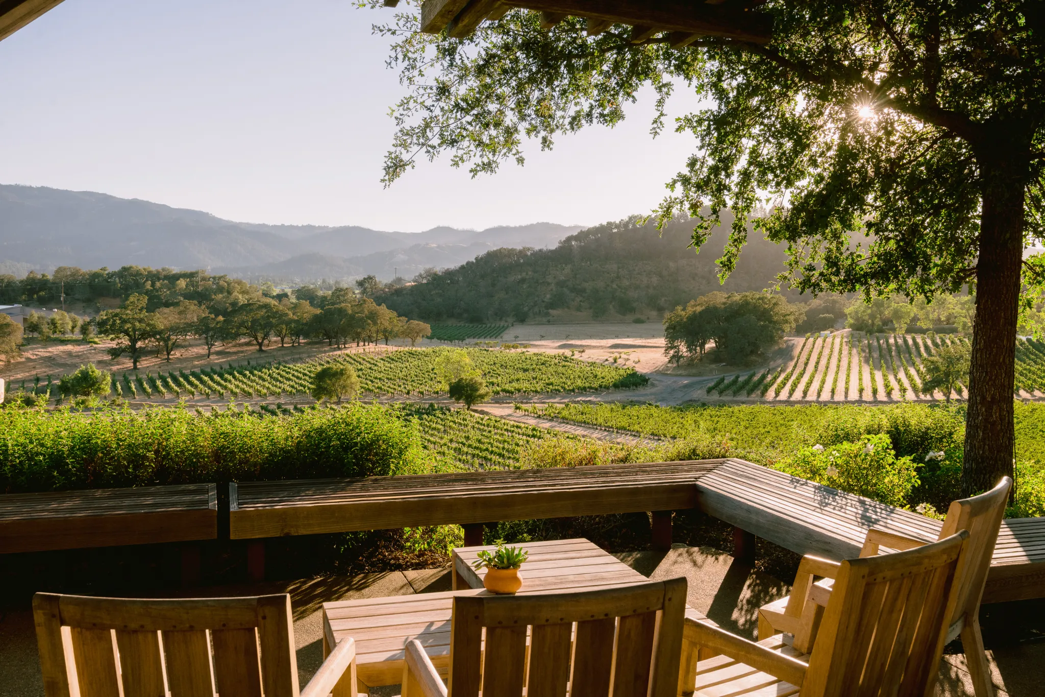 Tasting Terrace