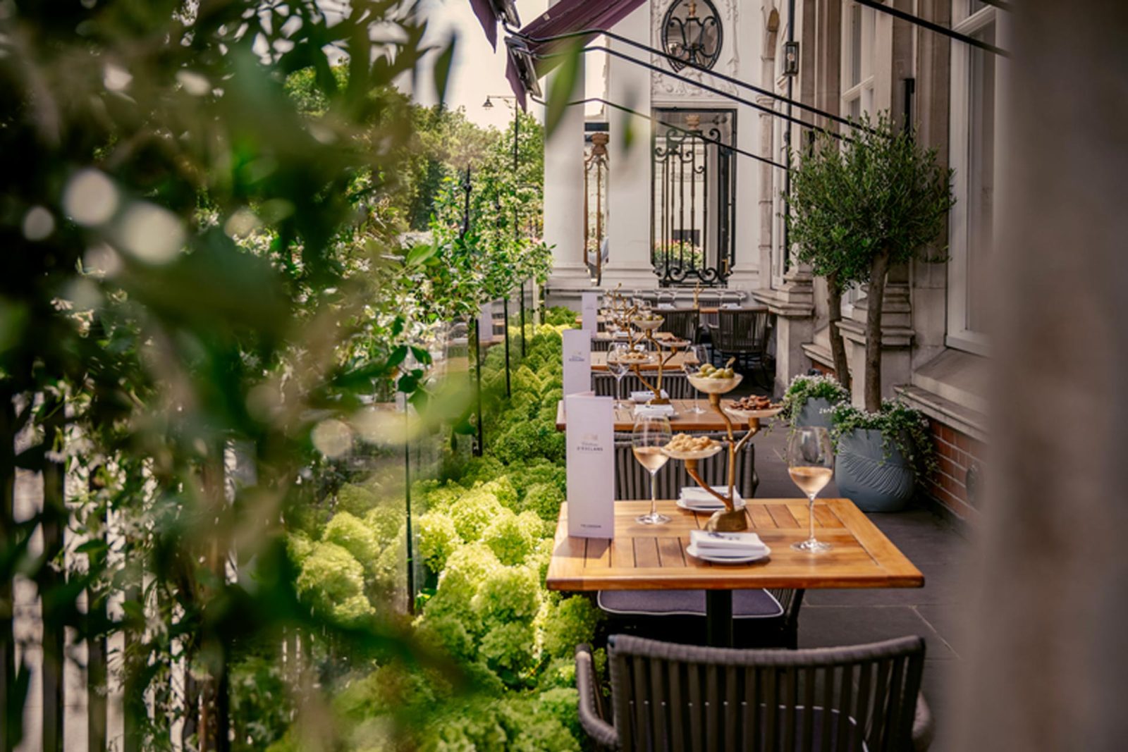 Château d'Esclans Terrace
