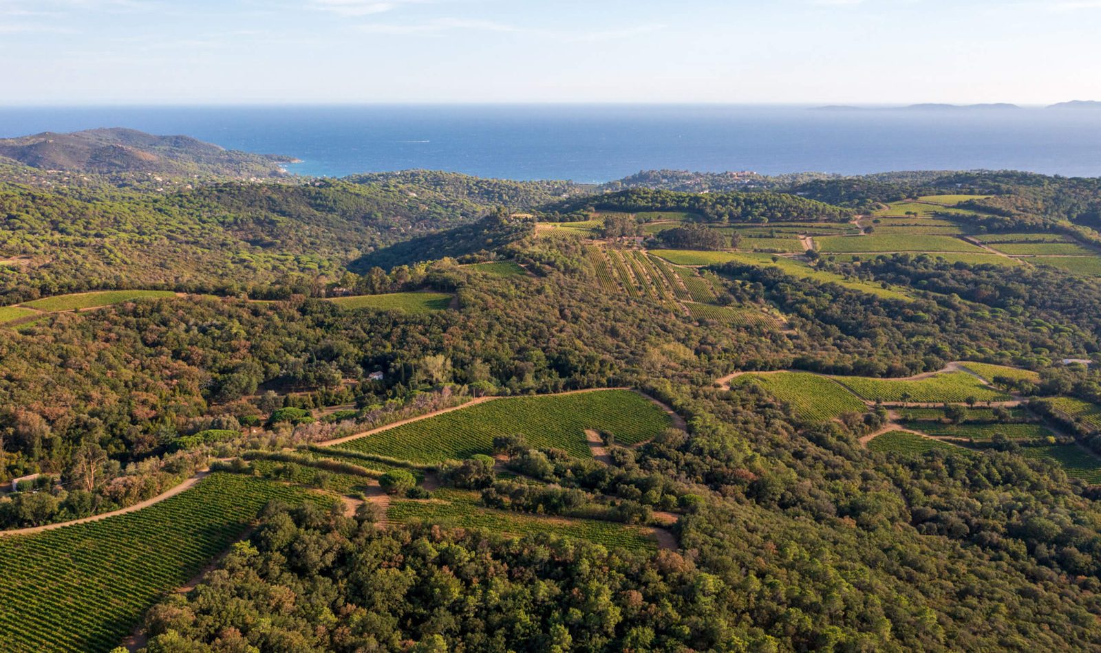 Domaine de la Croix Lookout