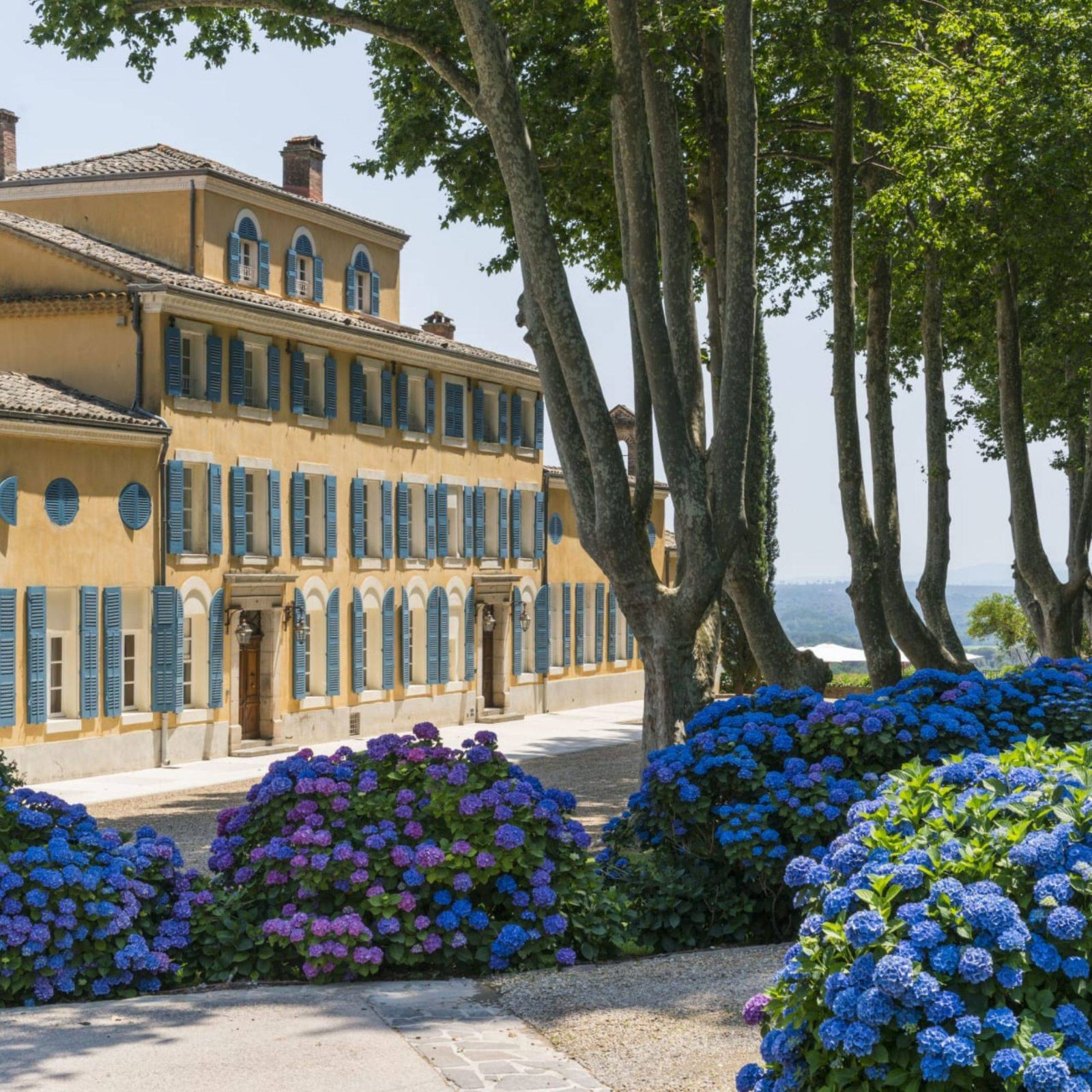 Chateau d'Esclans Terrace