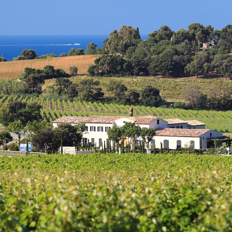 Domaine de la Croix Rows