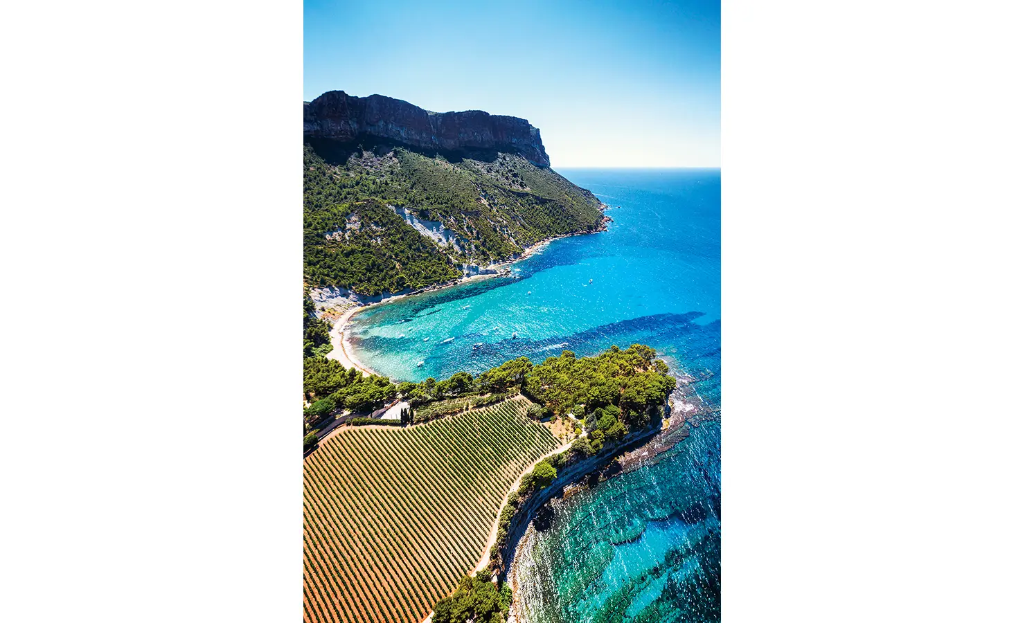 Cassis Vineyards Overlook