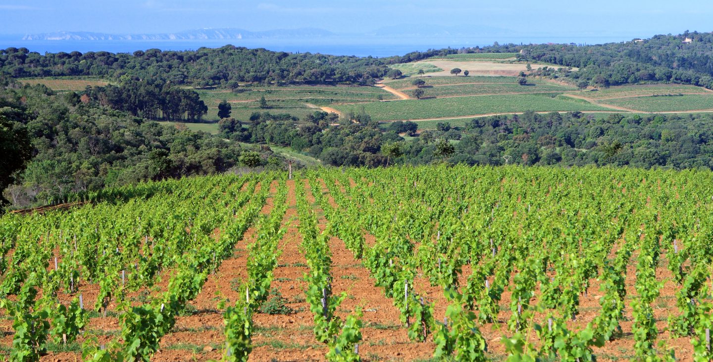 Domaine de la Croix Terrace
