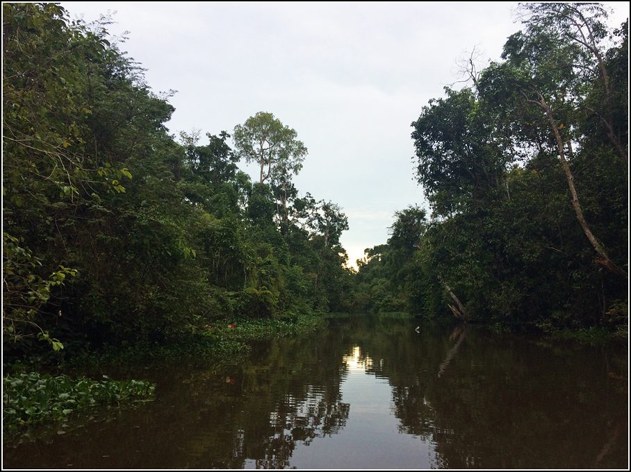 Menanggol River Tributary