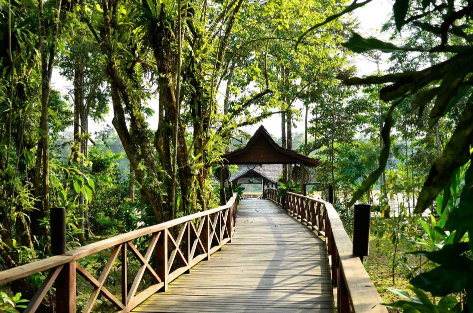 Sukau Boardwalk