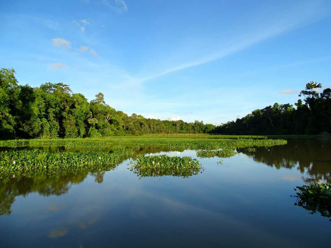 Oxbow Lake Access
