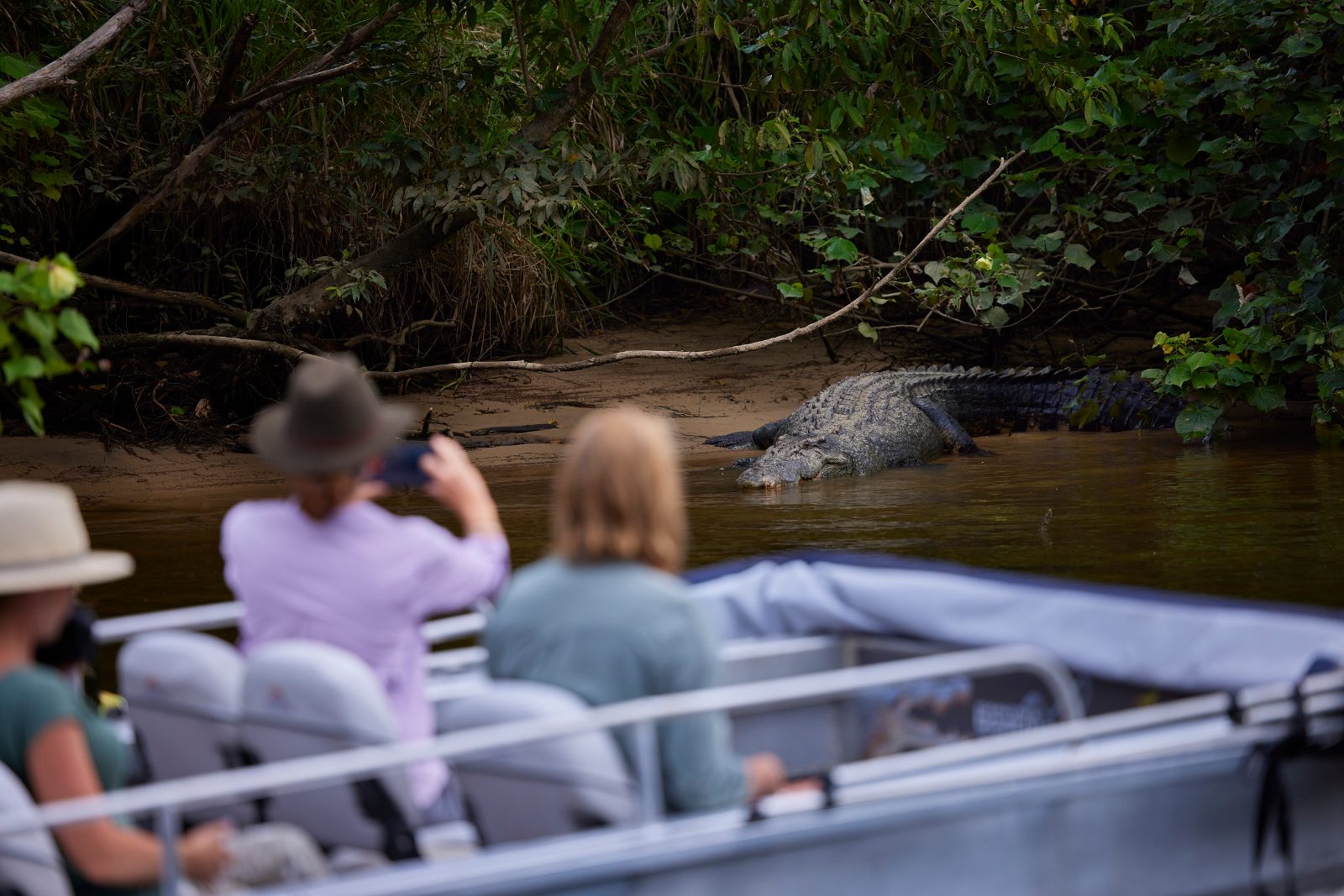 Port Douglas Dinner Cruise