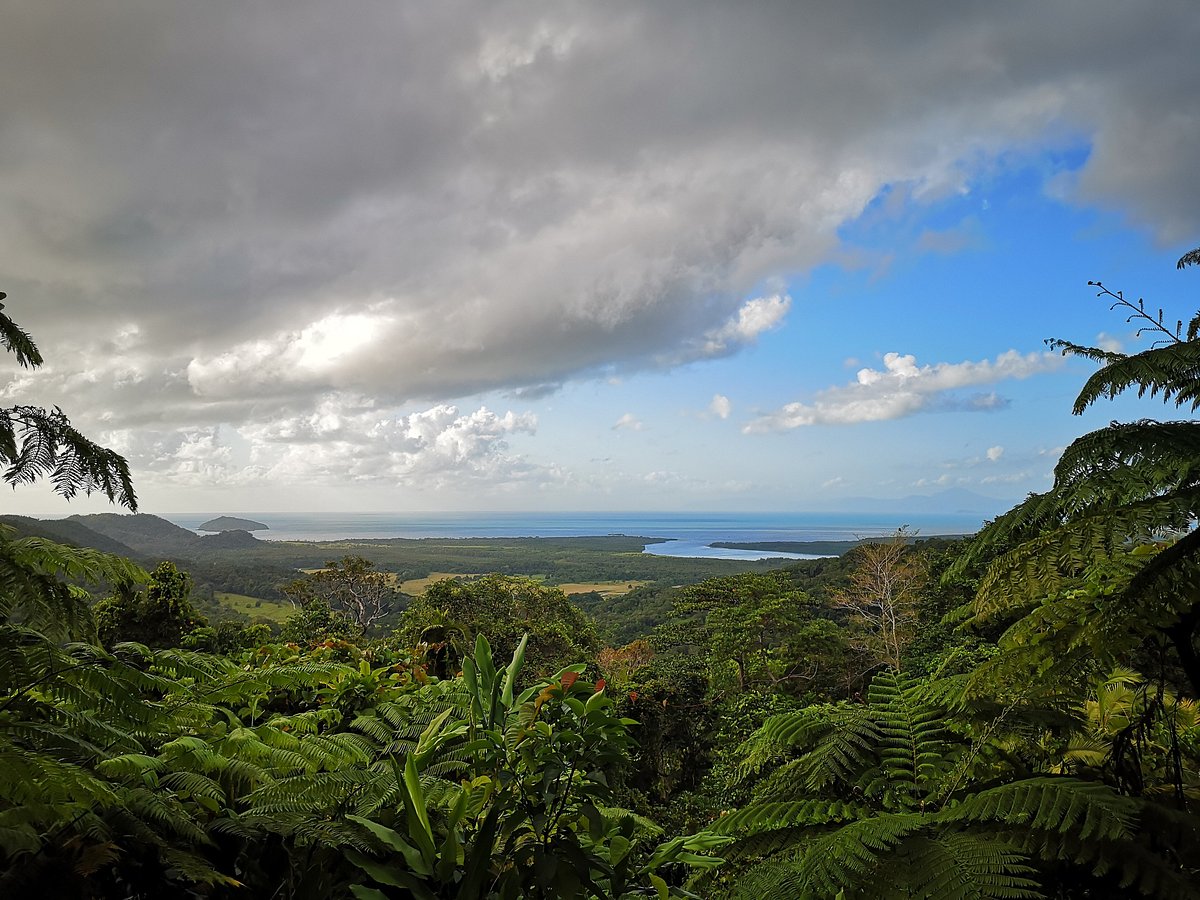 Mount Alexandra Lookout