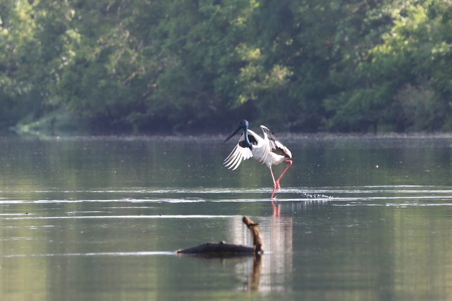 Birdwatching Sites