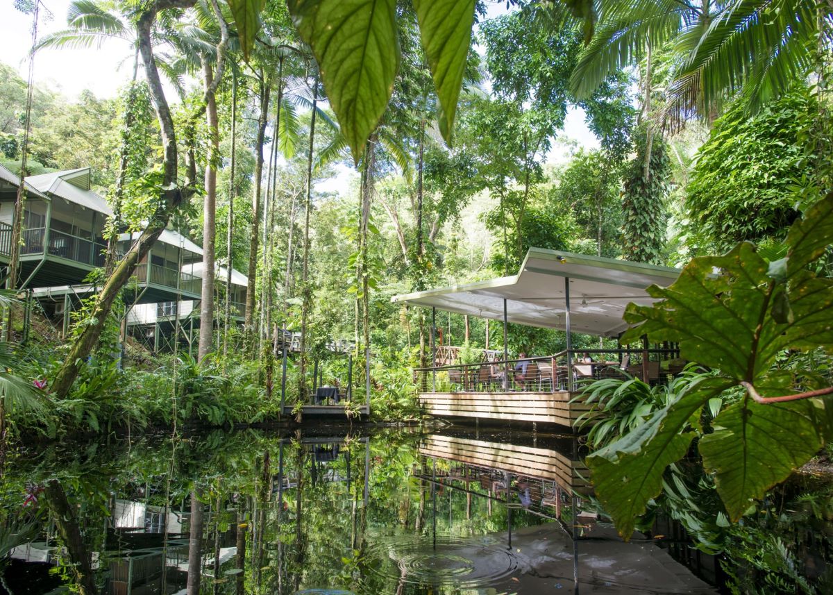 Daintree Village