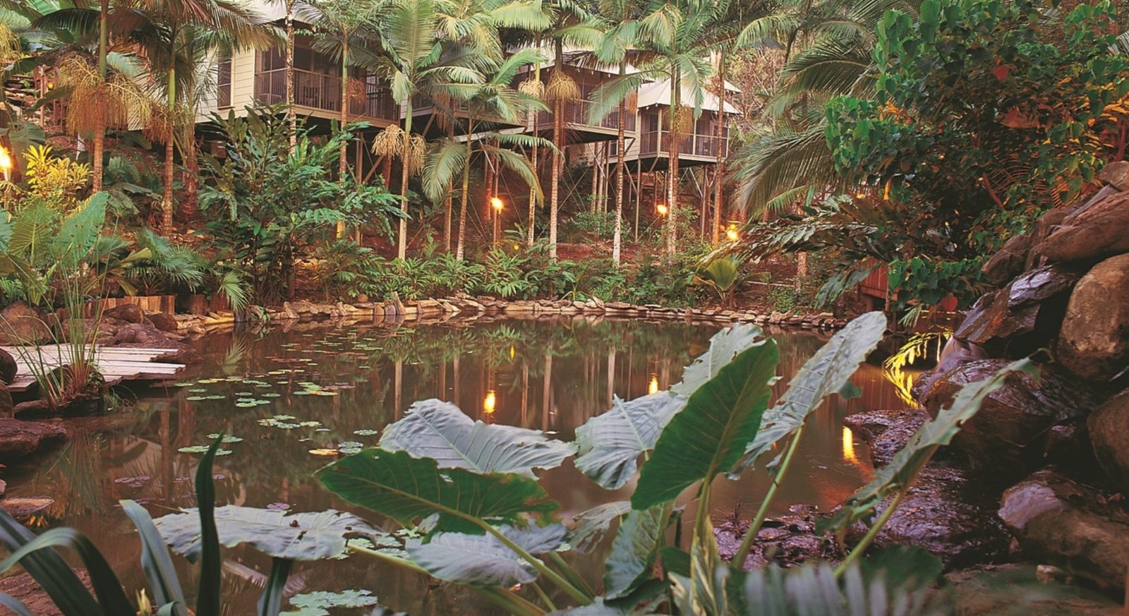 Daintree Village