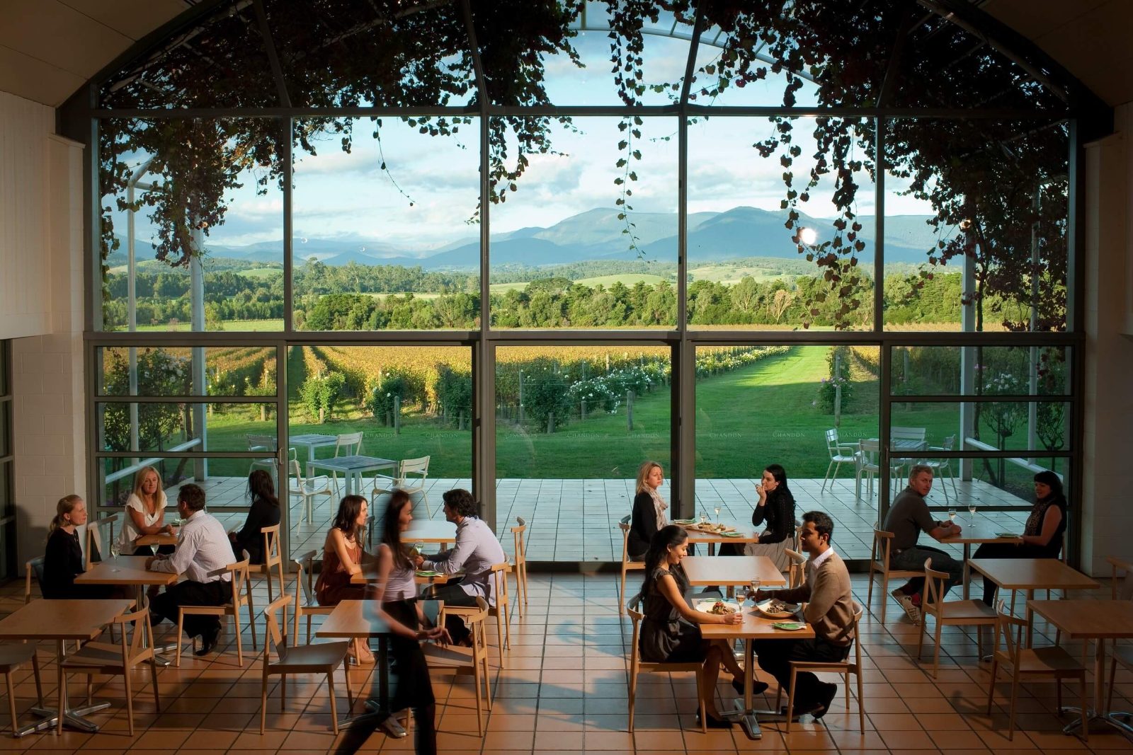 Domaine Chandon Terrace