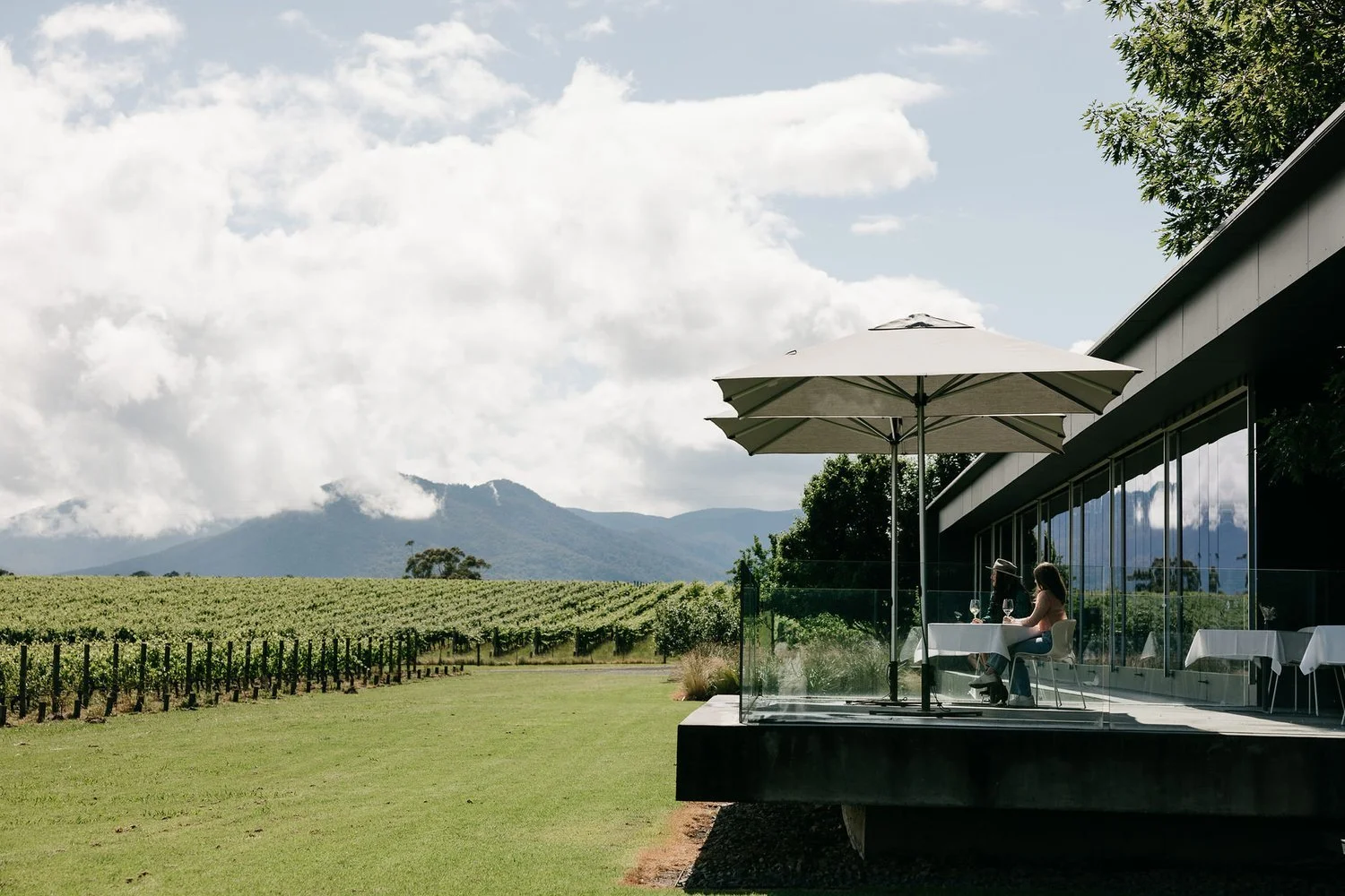 Oakridge Wines Barrel Room