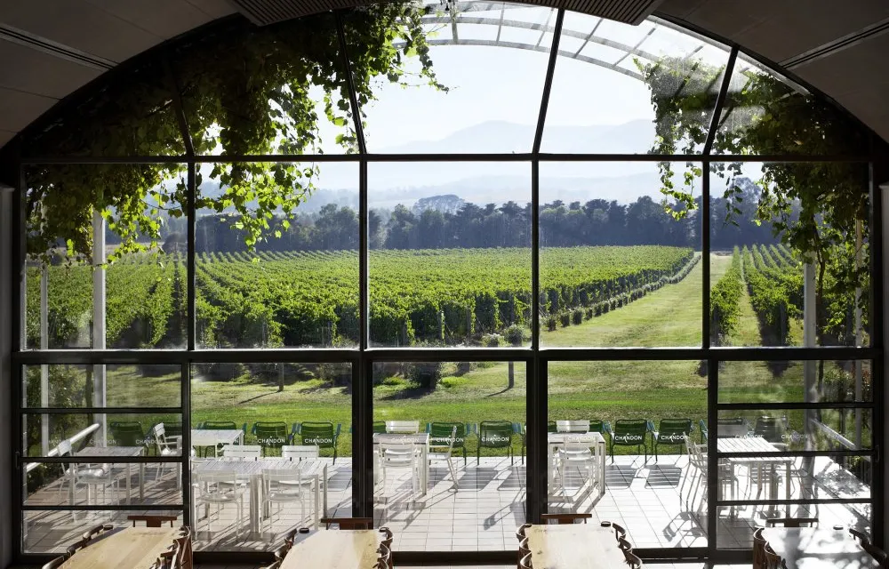 Domaine Chandon Terrace