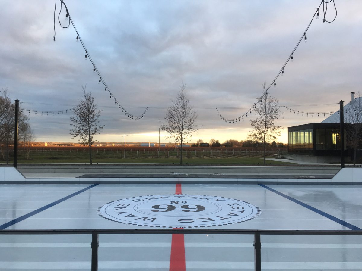 Wayne Gretzky Estates Skating Rink