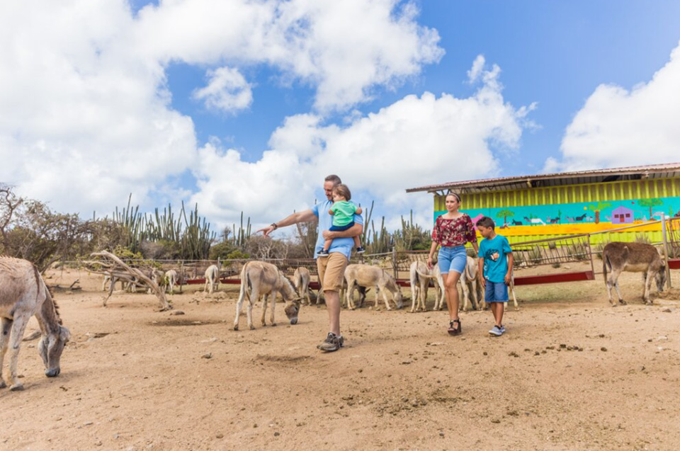 Donkey Sanctuary Aruba