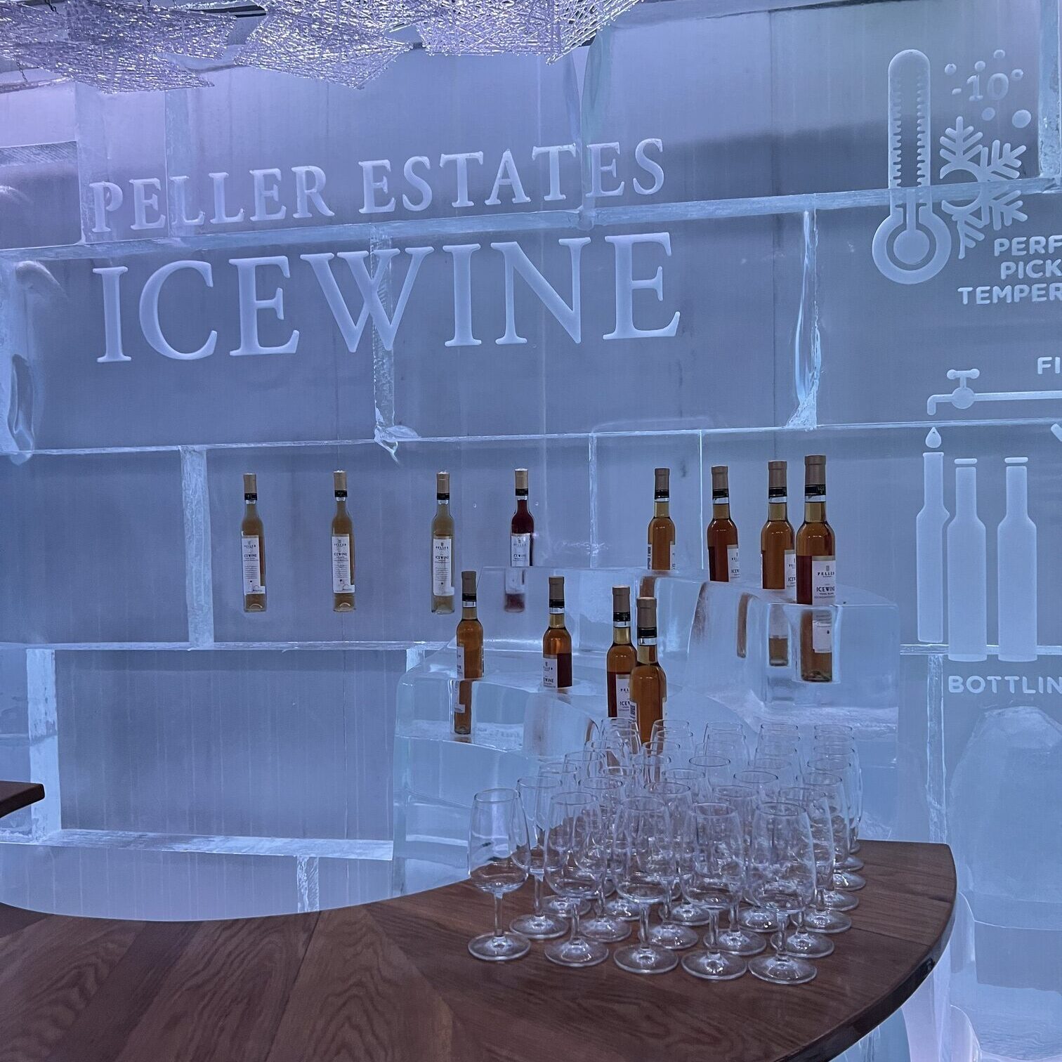 Ice Wine Tour From Toronto