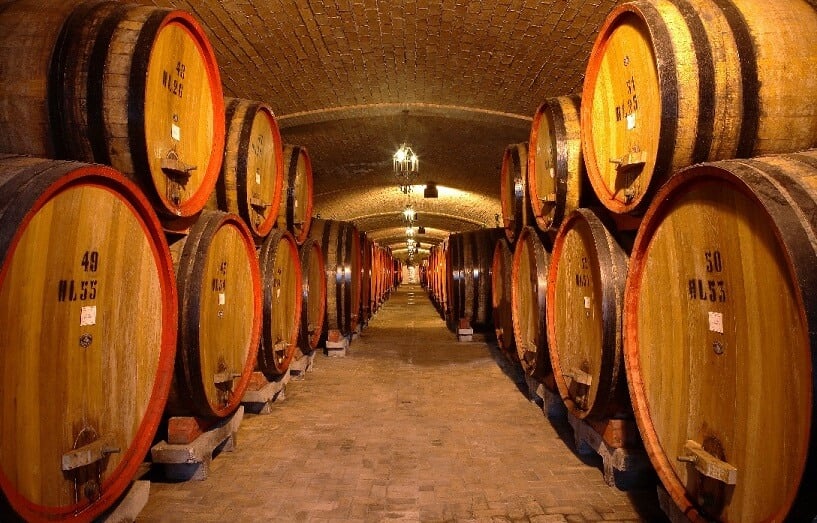 Cantina Contucci Cellars