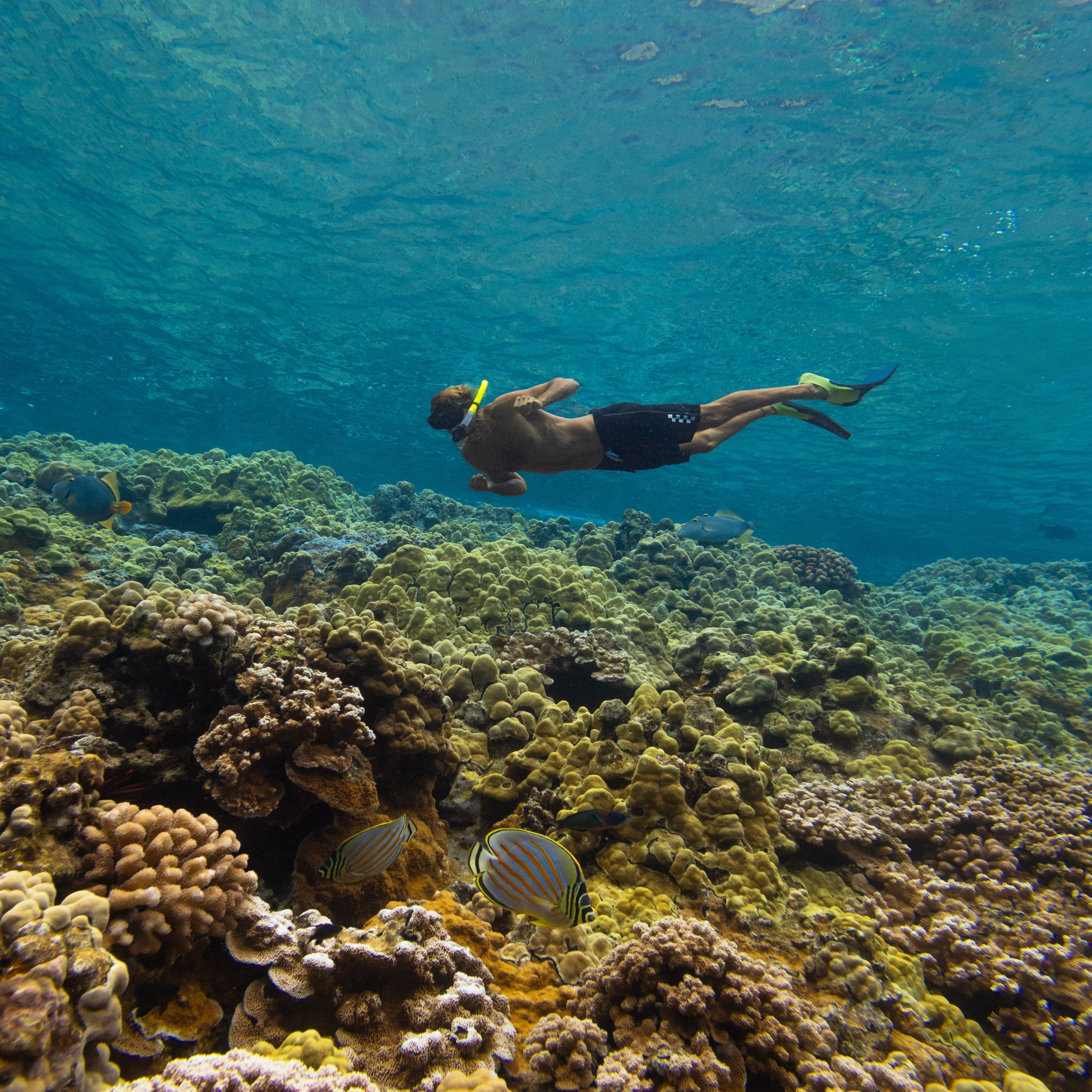 Enenue Reef Slope