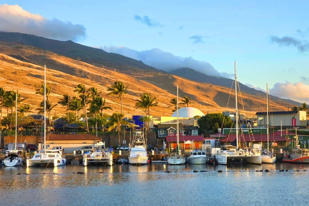Mā'alaea Harbor Main Dock