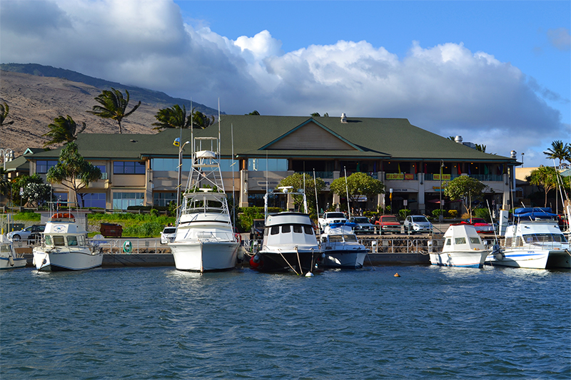 From Ma'alaea Harbor