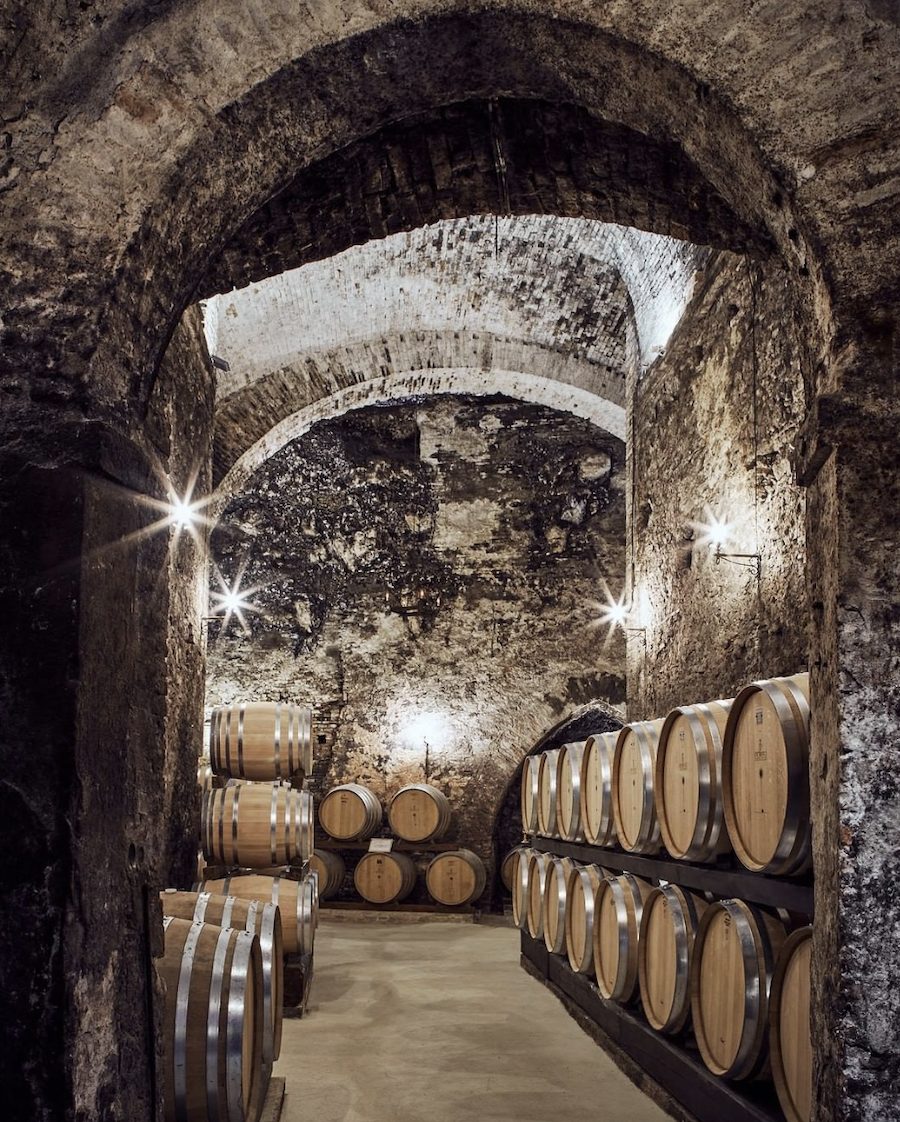 Tuscany Wine Tour From Rome
