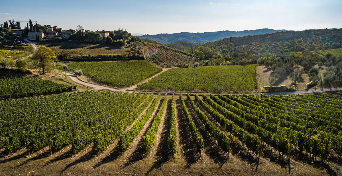 Castello di Ama Terrace
