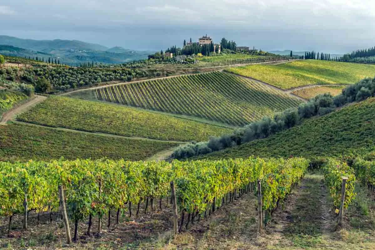 Chianti Rolling Hills Viewpoint