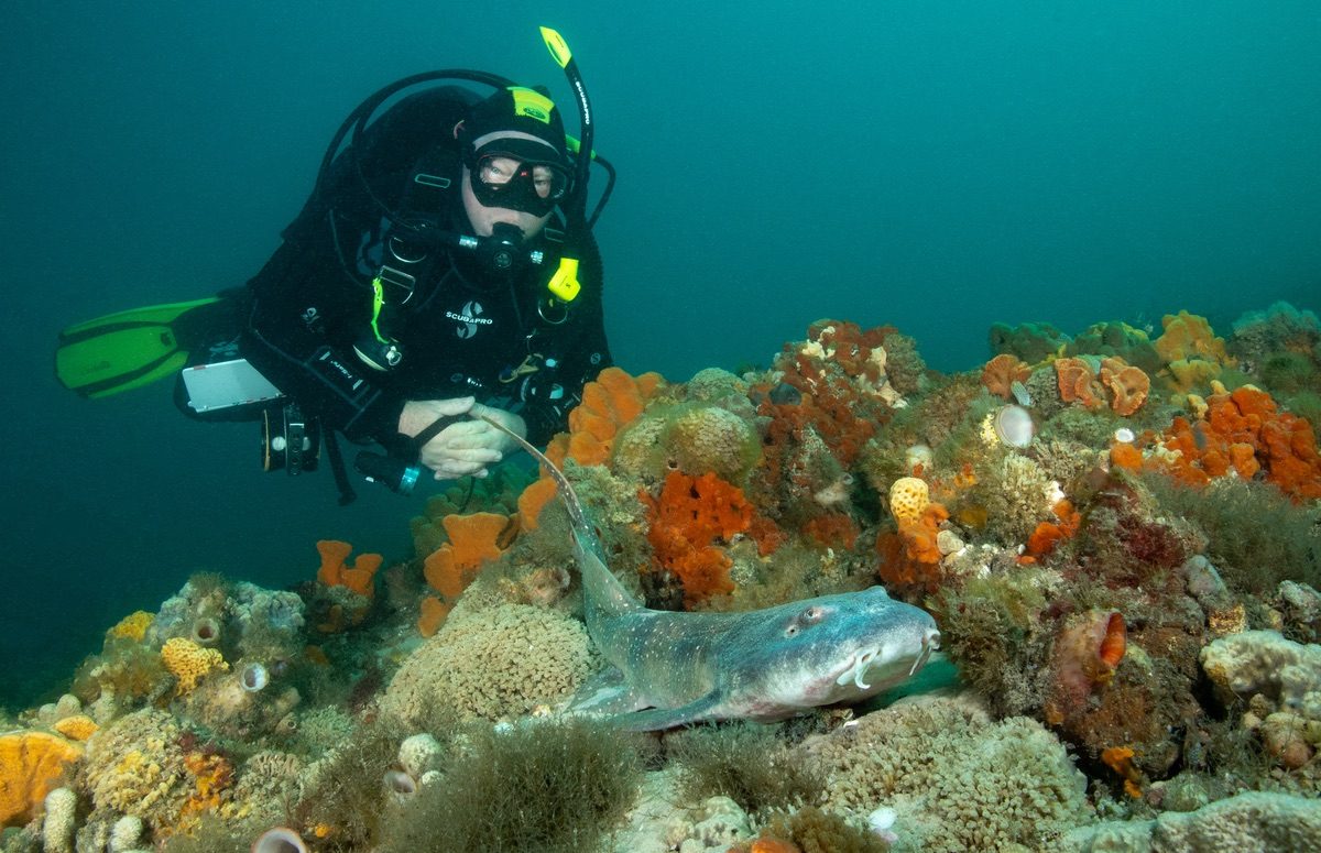 Fly Point Aquatic Reserve