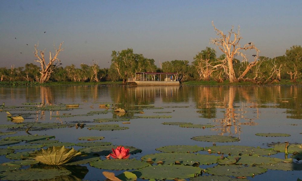Lily-Covered Main Channel