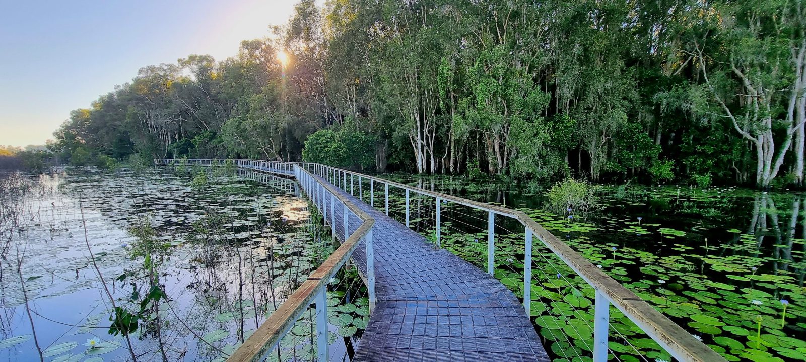 Fogg Dam Conservation Reserve