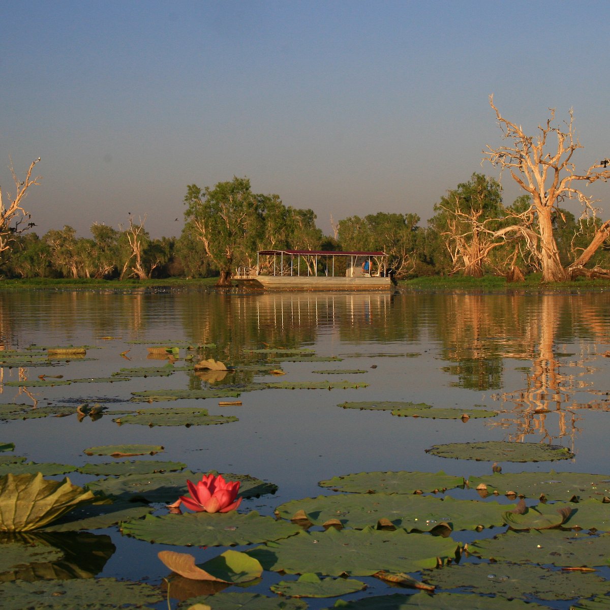 Corroboree Billabong