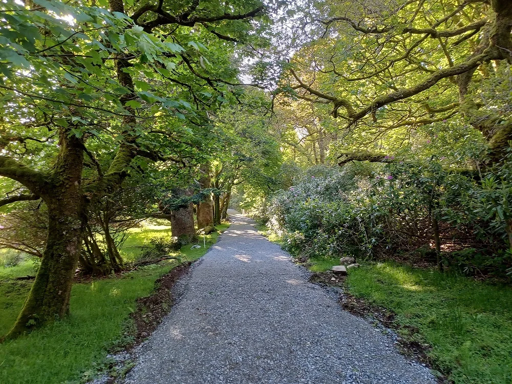 Kylemore Woodland Trails & Tales