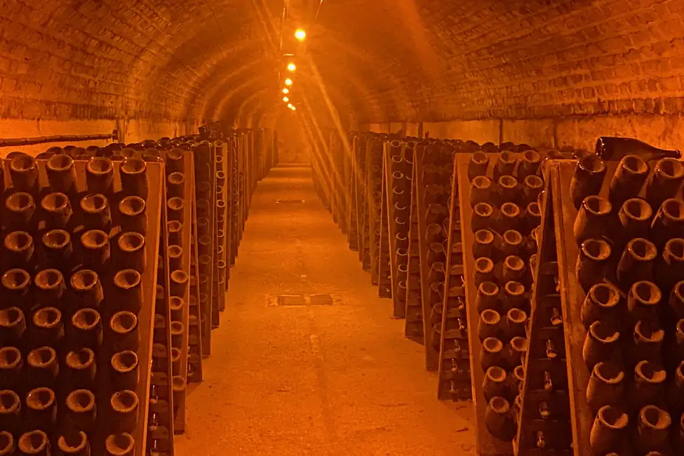 Paris Wine Tours Champagne