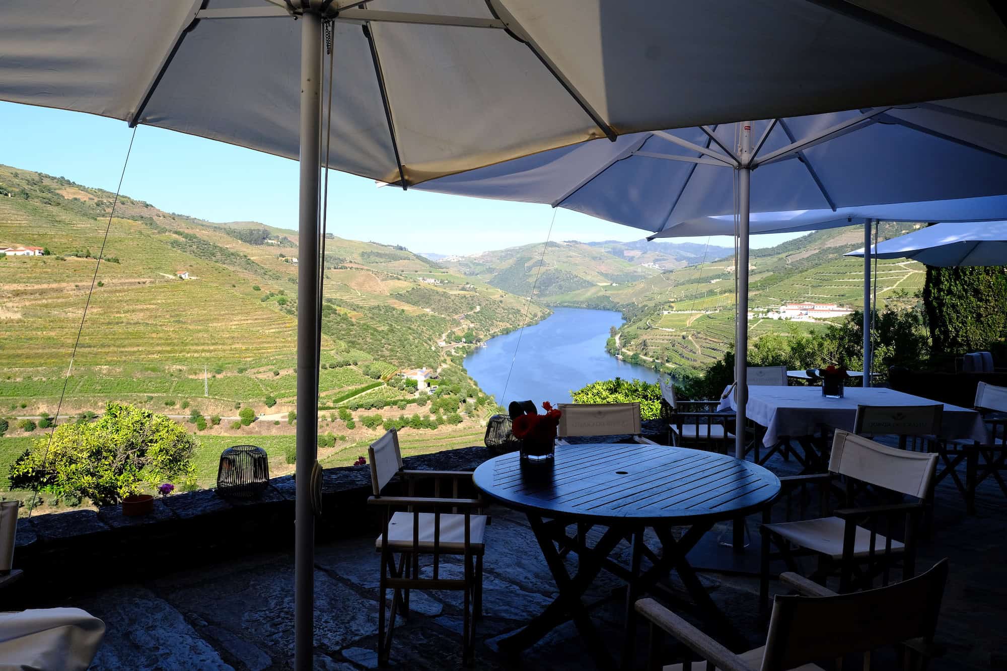 Lisbon Wine Tasting Day Trip