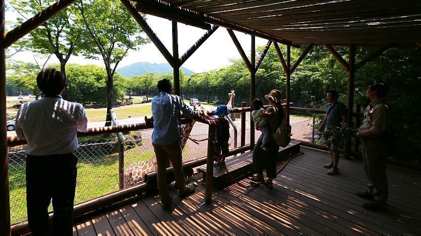 Walking Safari Herbivore Terrace