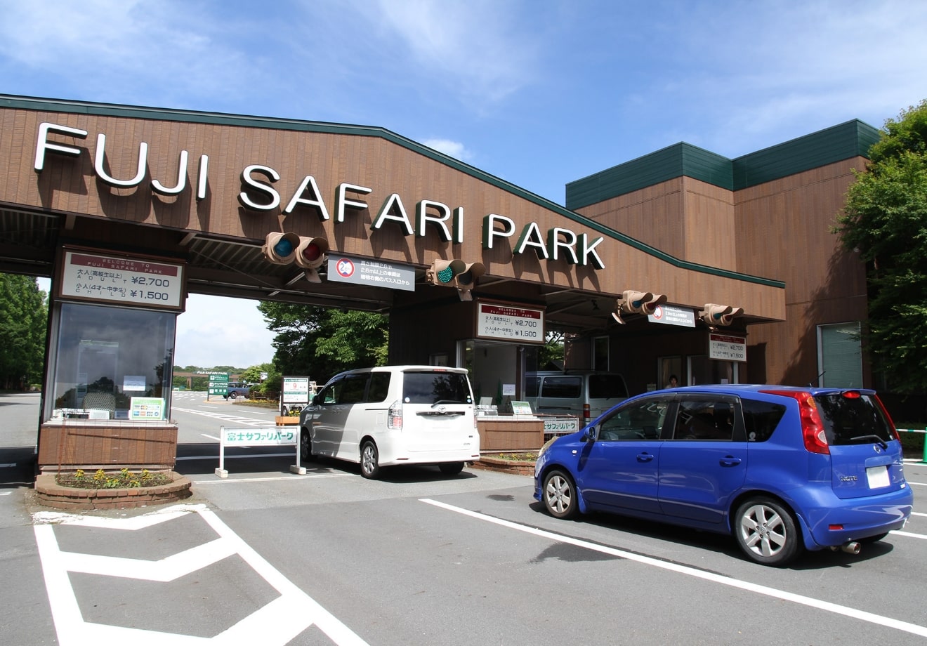 Entrance and Jungle Bus ticket purchase