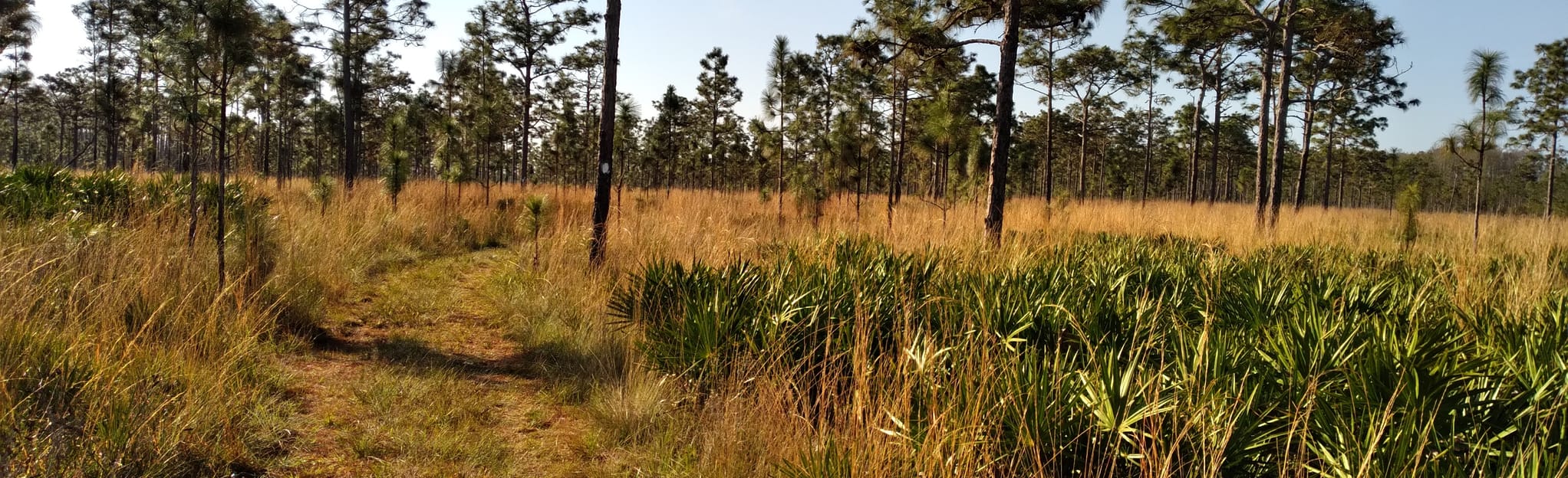 Bull Creek Wildlife Management Area