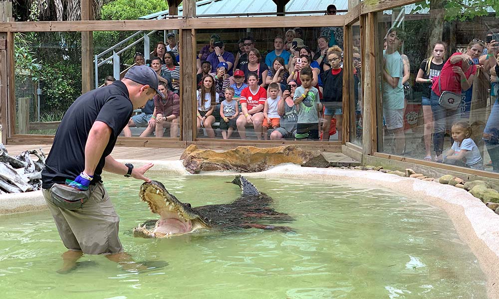 Gator Park and Crusher Show