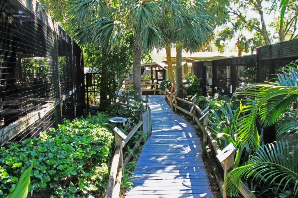 Tropical Bird Aviary and Hawk Swamp Boardwalk