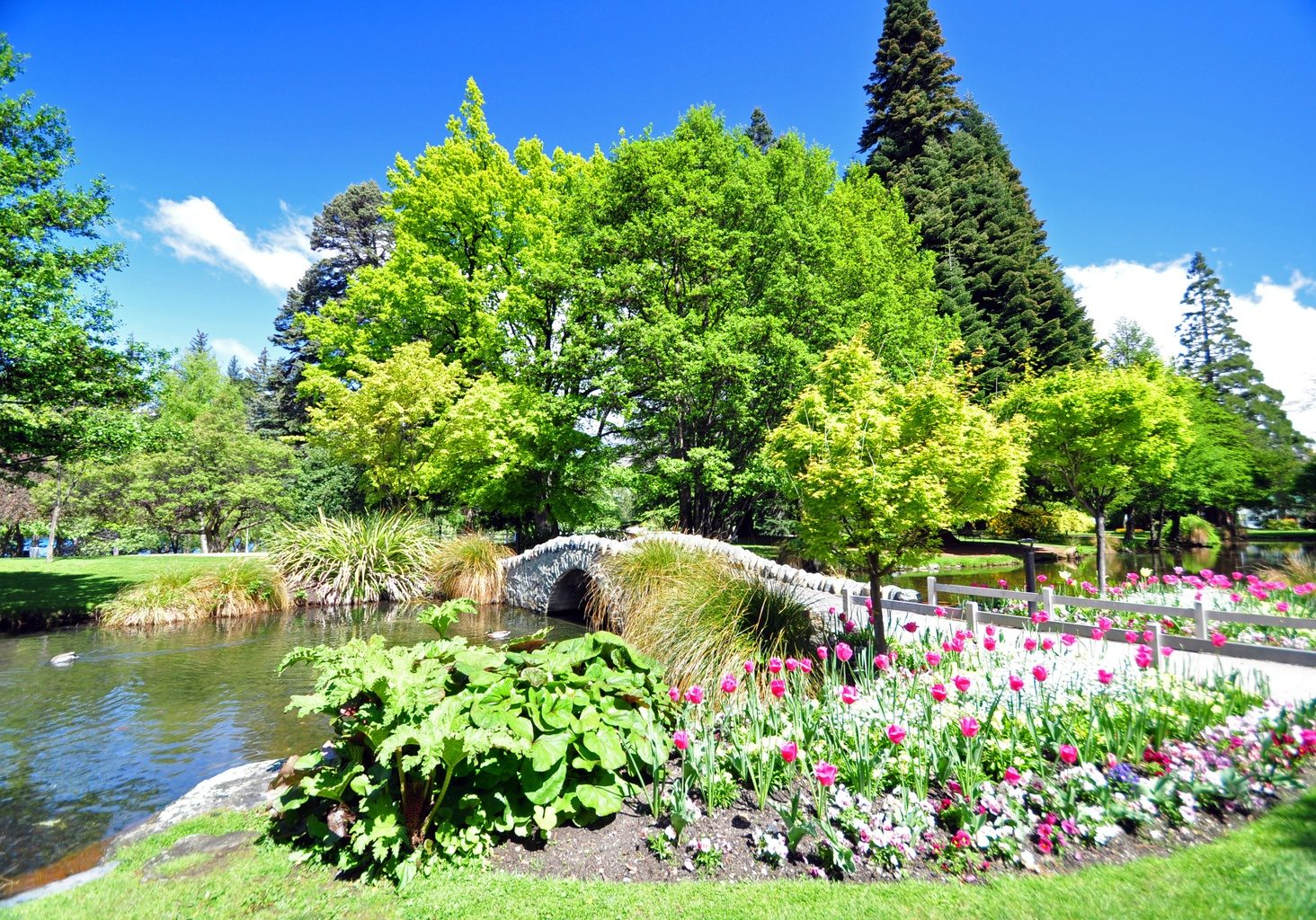 Queenstown Gardens
