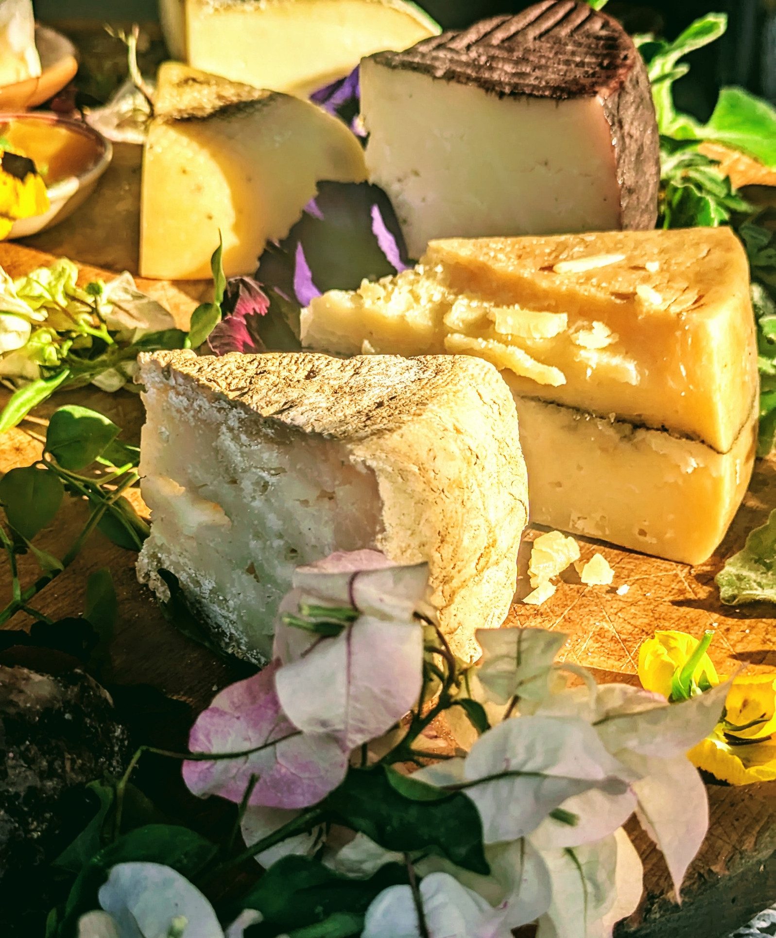 Your experience at Island of Orleans Taste and Drink Tour