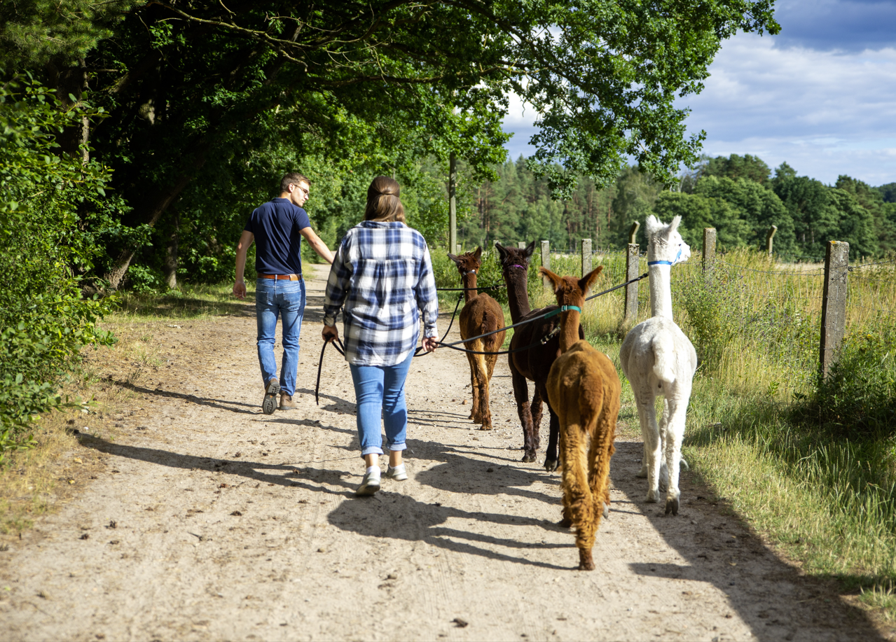 Your experience at Alpaca Hike Vienna