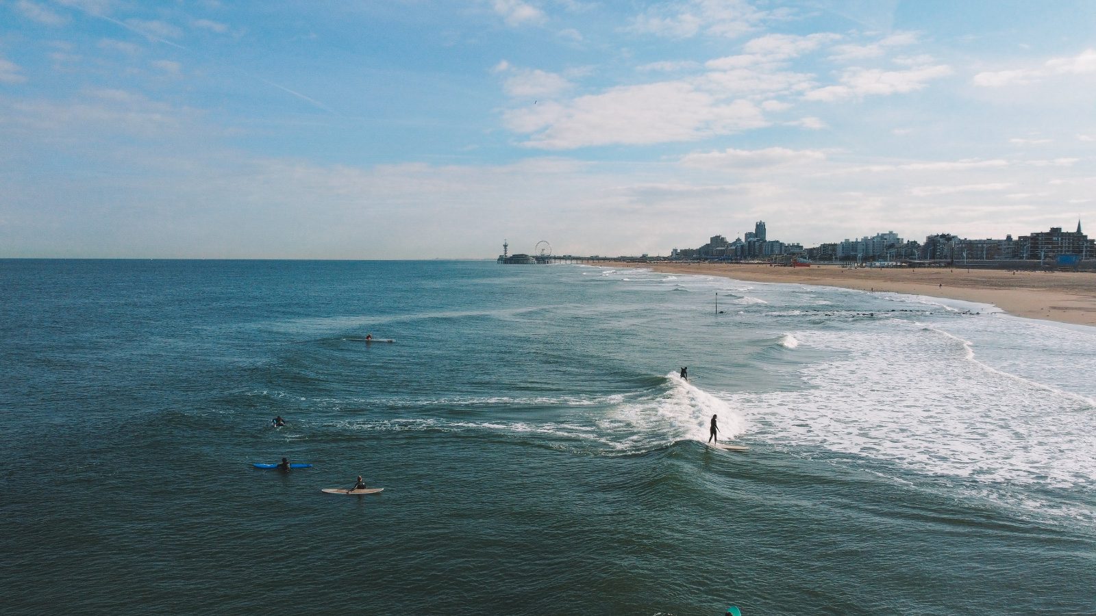 Learn to Ride the Waves at Surf School Scheveningen
