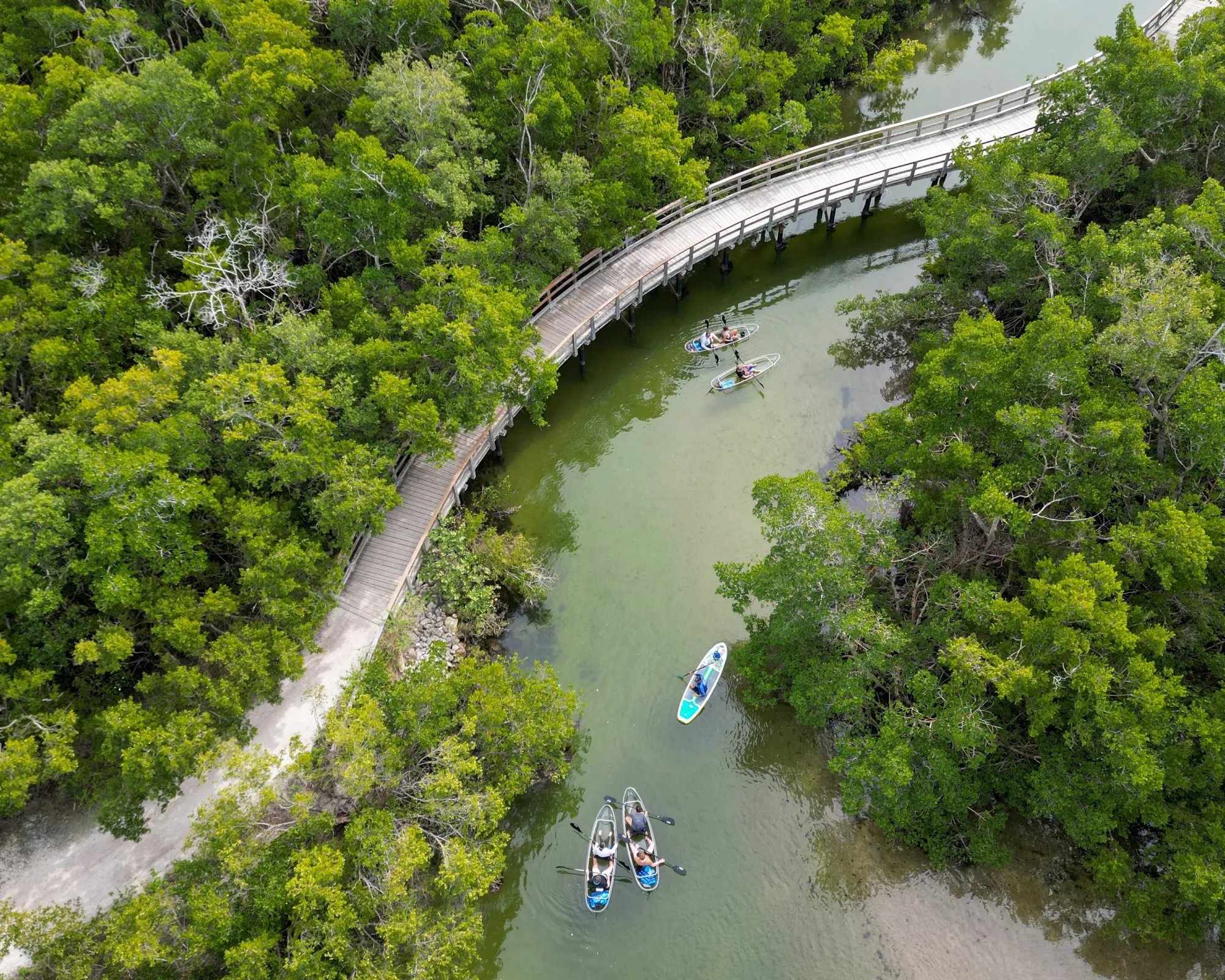 Anna Maria Island Kayak Tours