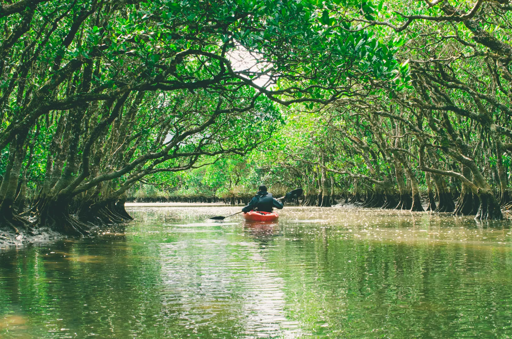Anna Maria Island Kayak Tours